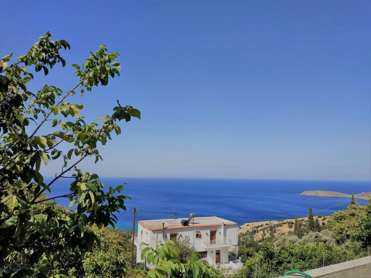 Palaiopoli View * Palaiopolis (Andros)